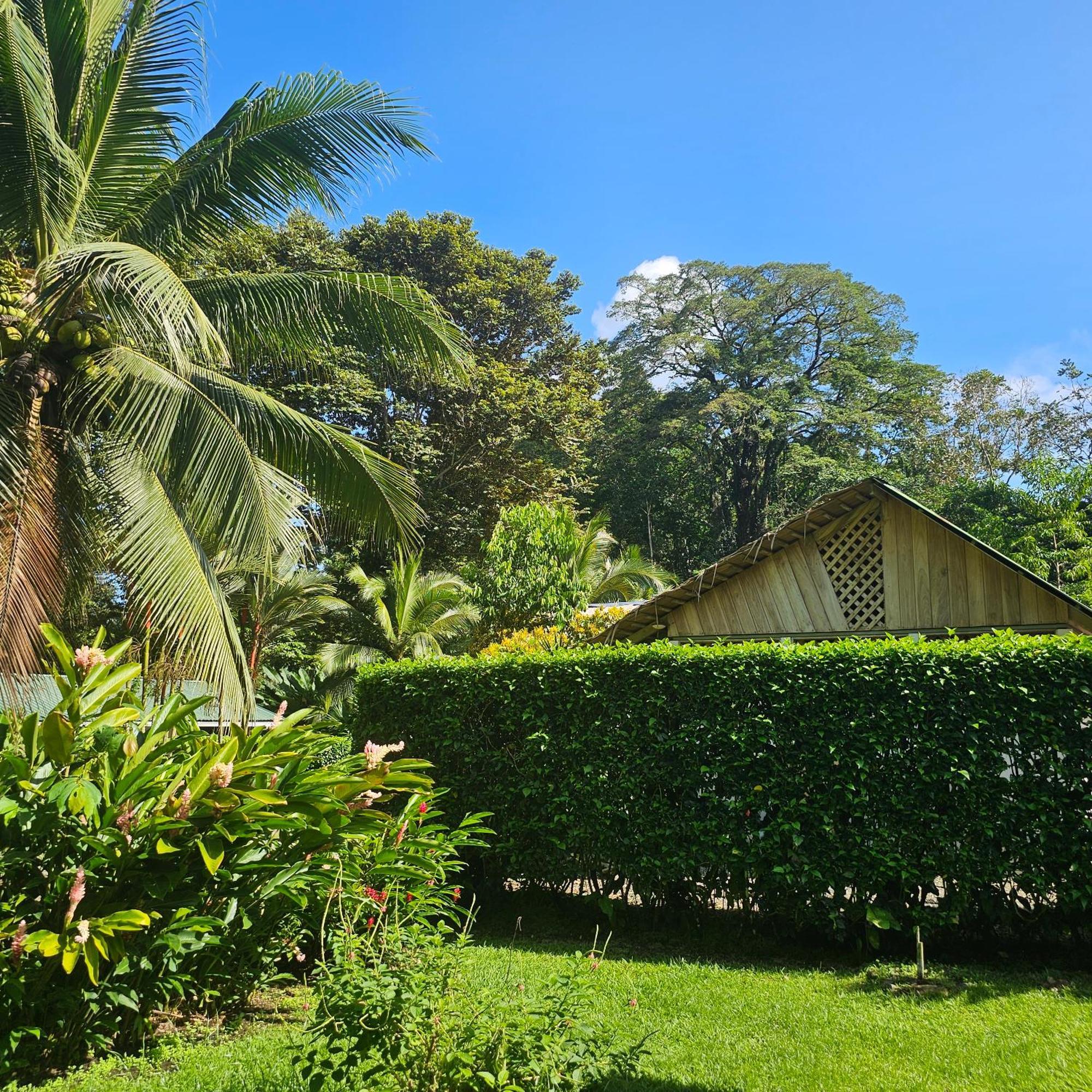 Villa La Rana De Cahuita Exterior foto