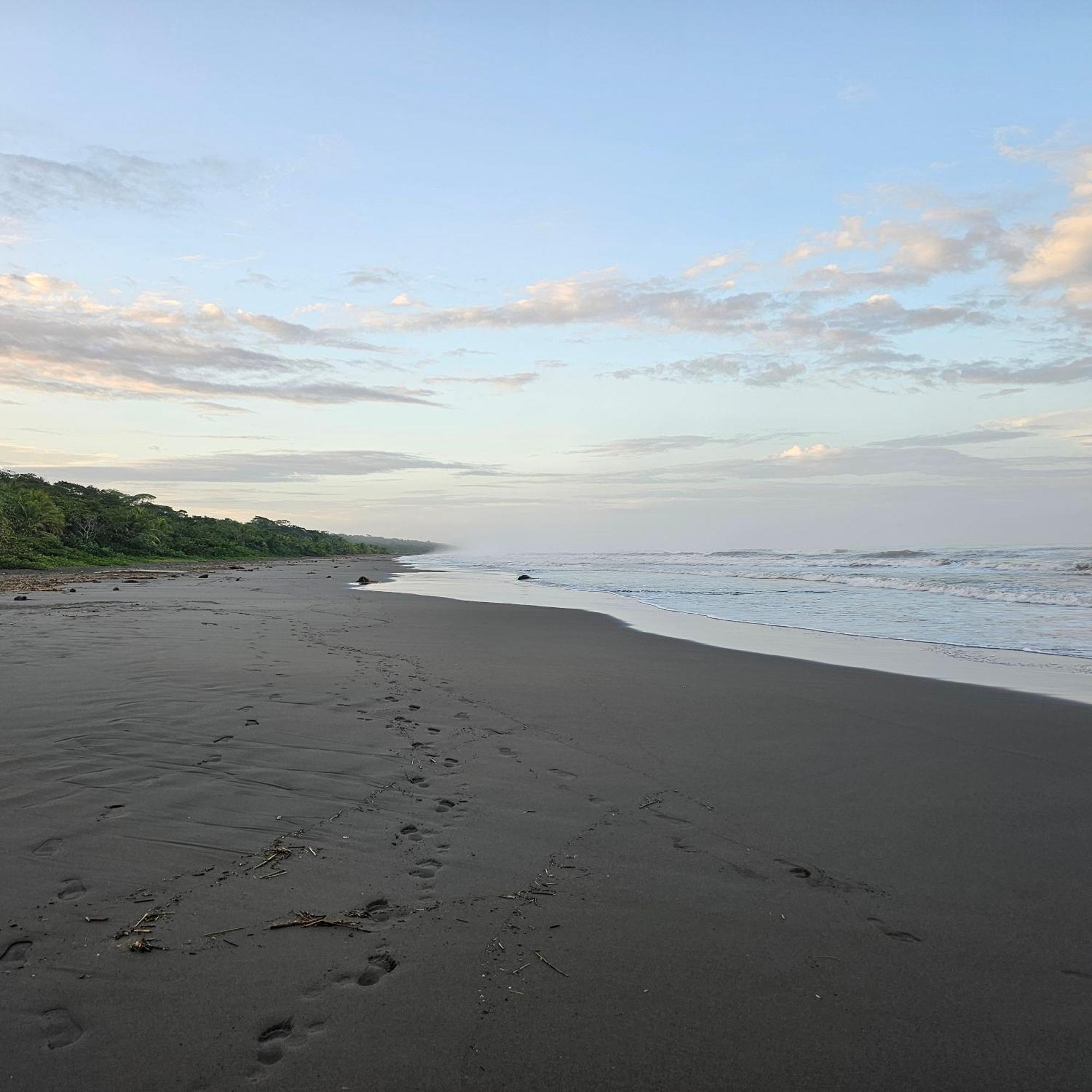 Villa La Rana De Cahuita Exterior foto